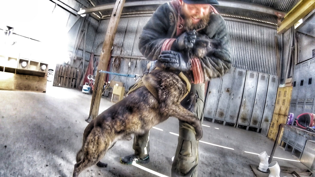 gptempdownload-1_orig