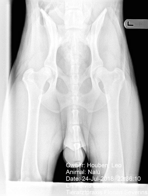 img-1948_orig Picture